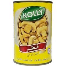تصویر 3 از کنسرو قارچ بلنچ پاکتی + فروش